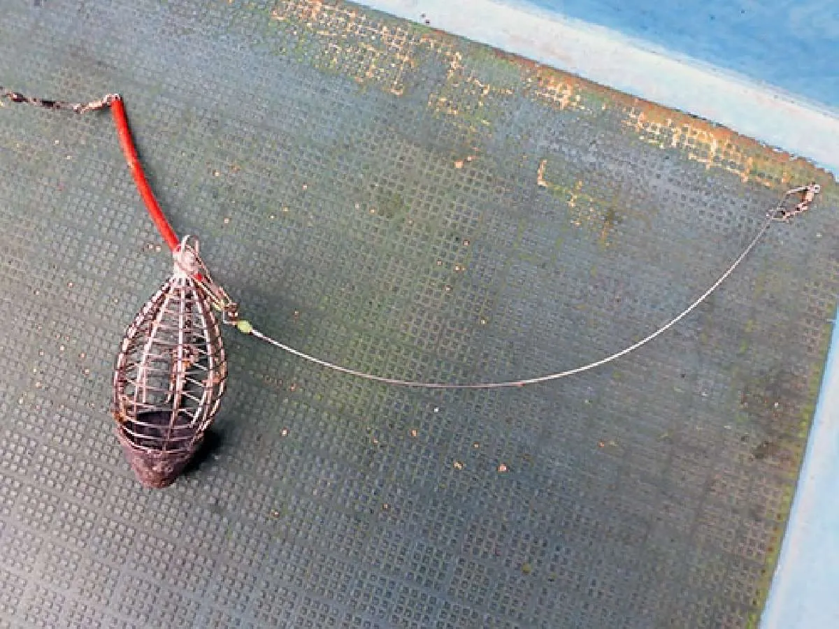 ビシカゴは40号。片テンビン30cm