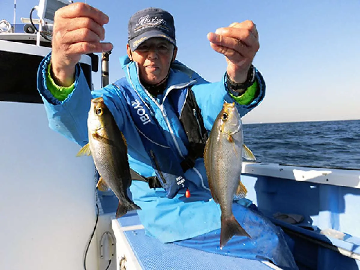 仕事の合間の釣りでイサキ50匹、困ったときの救世主