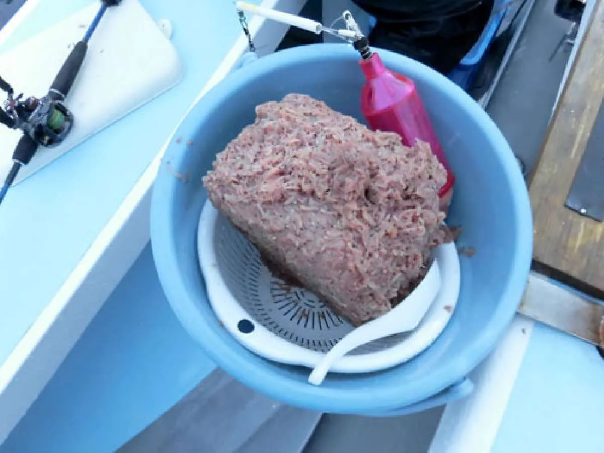 イサキ釣りはアミコマセで魚を寄せる