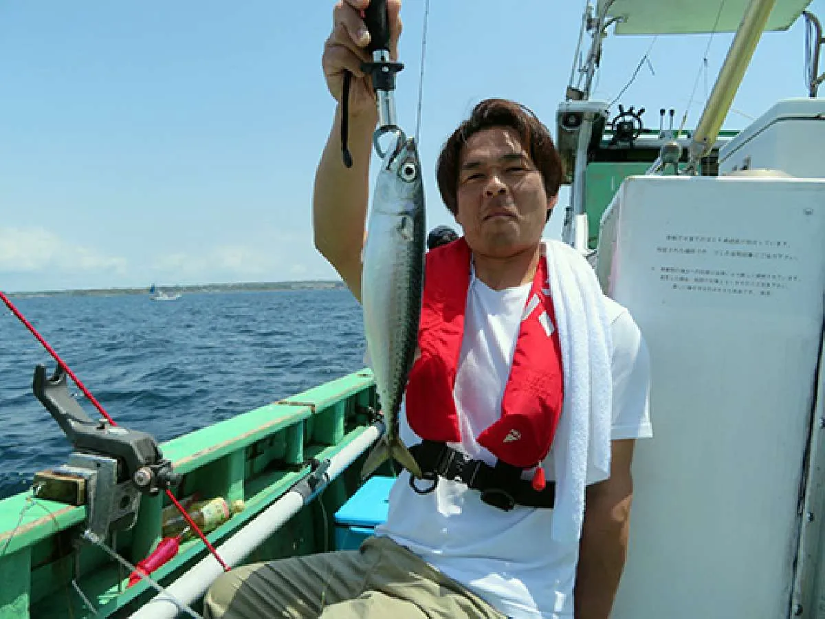 “五目”と言えばこの魚、サバも登場
