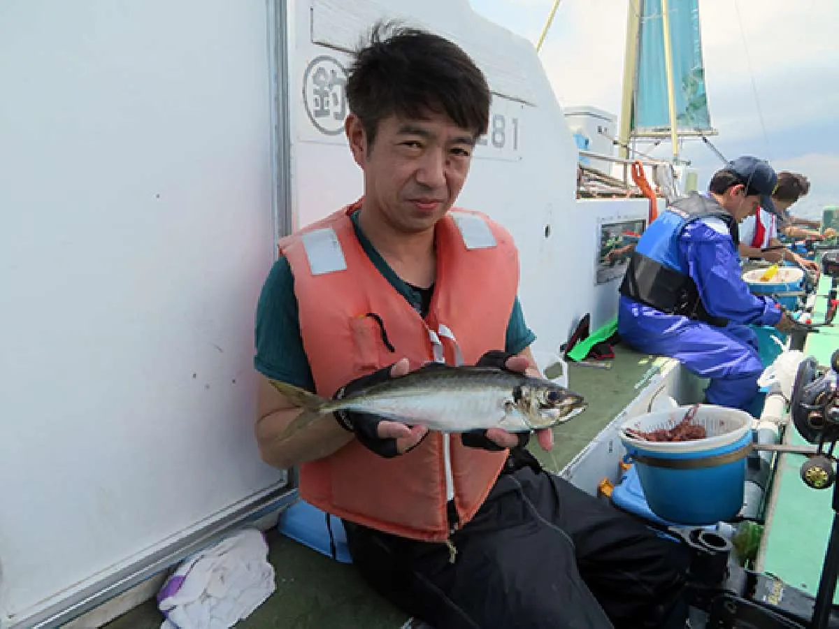 良型が出る佐島沖のアジ