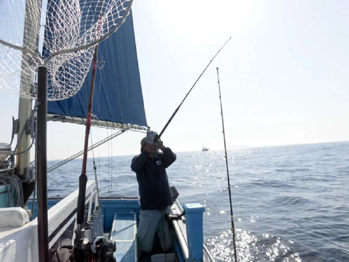 イカ釣りストレッチ開始