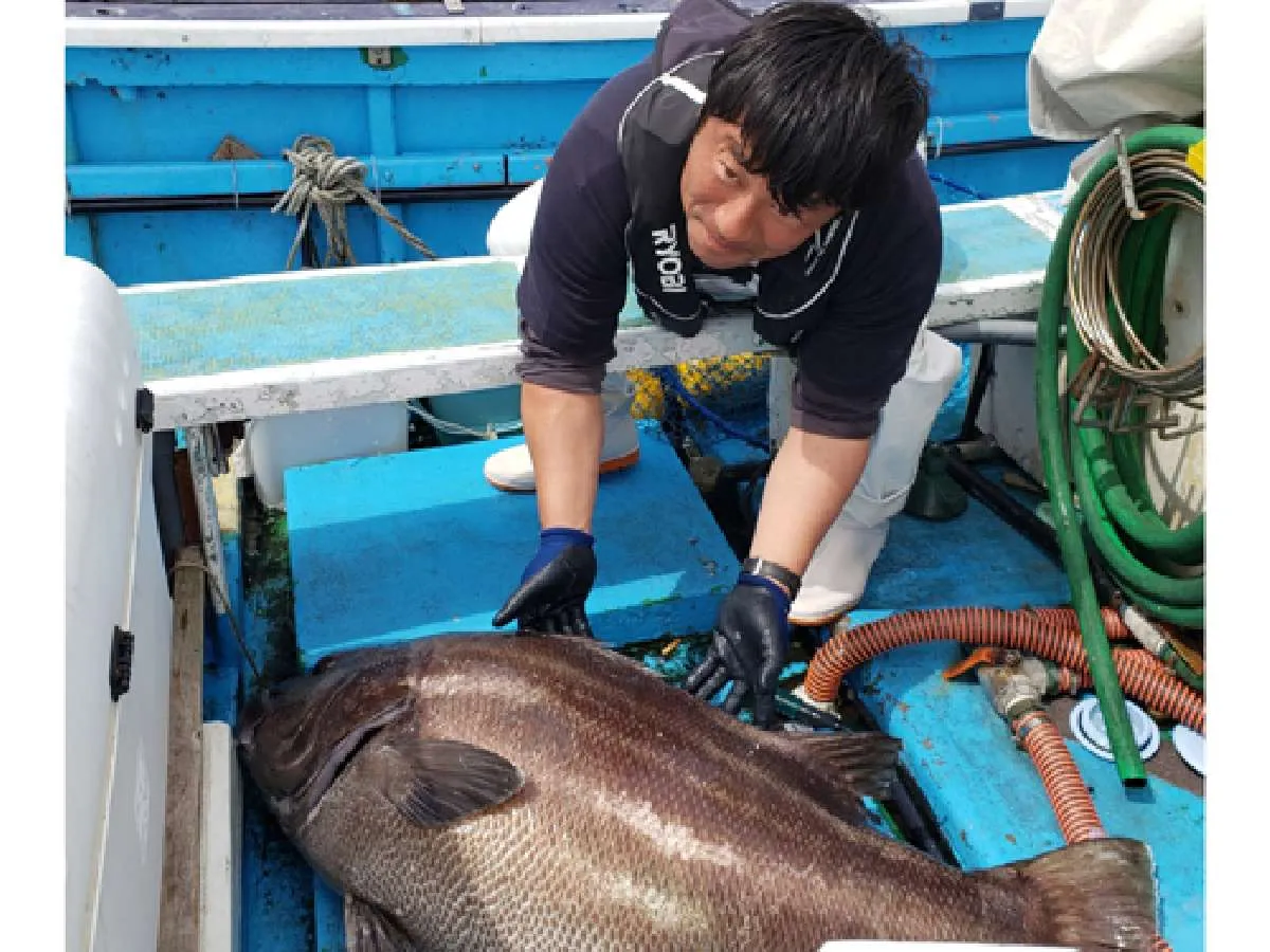 5月3日、45kg、写真撮影後リリース