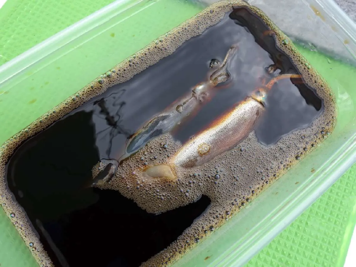 沖漬け