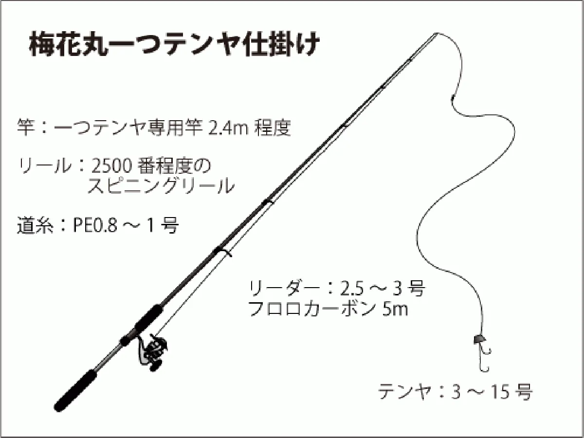 仕掛け図