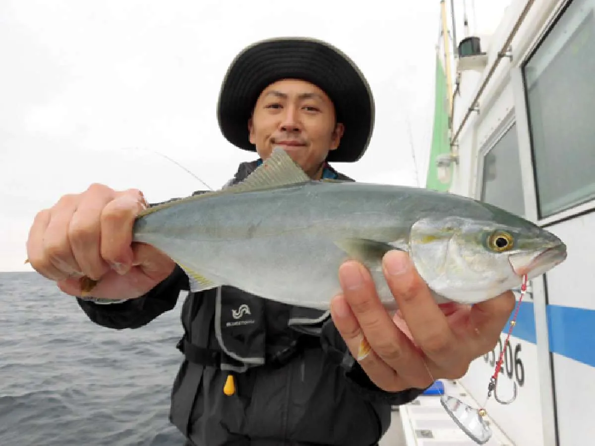 あちらこちらでワカシが快釣