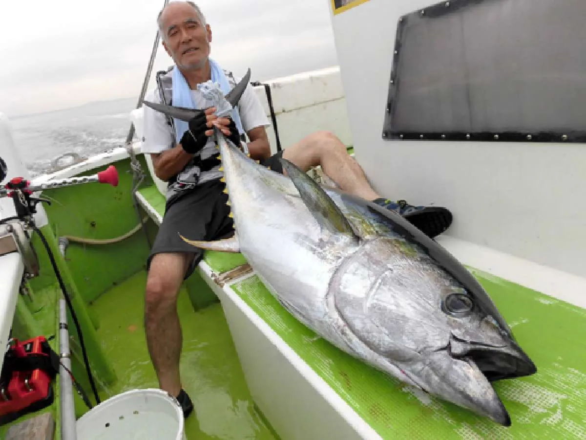 150cm・40.3kgのトロフィーサイズ！