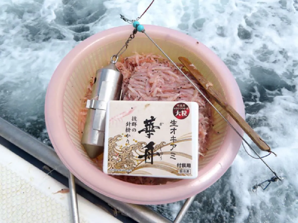 付け餌は大きめのオキアミが有効