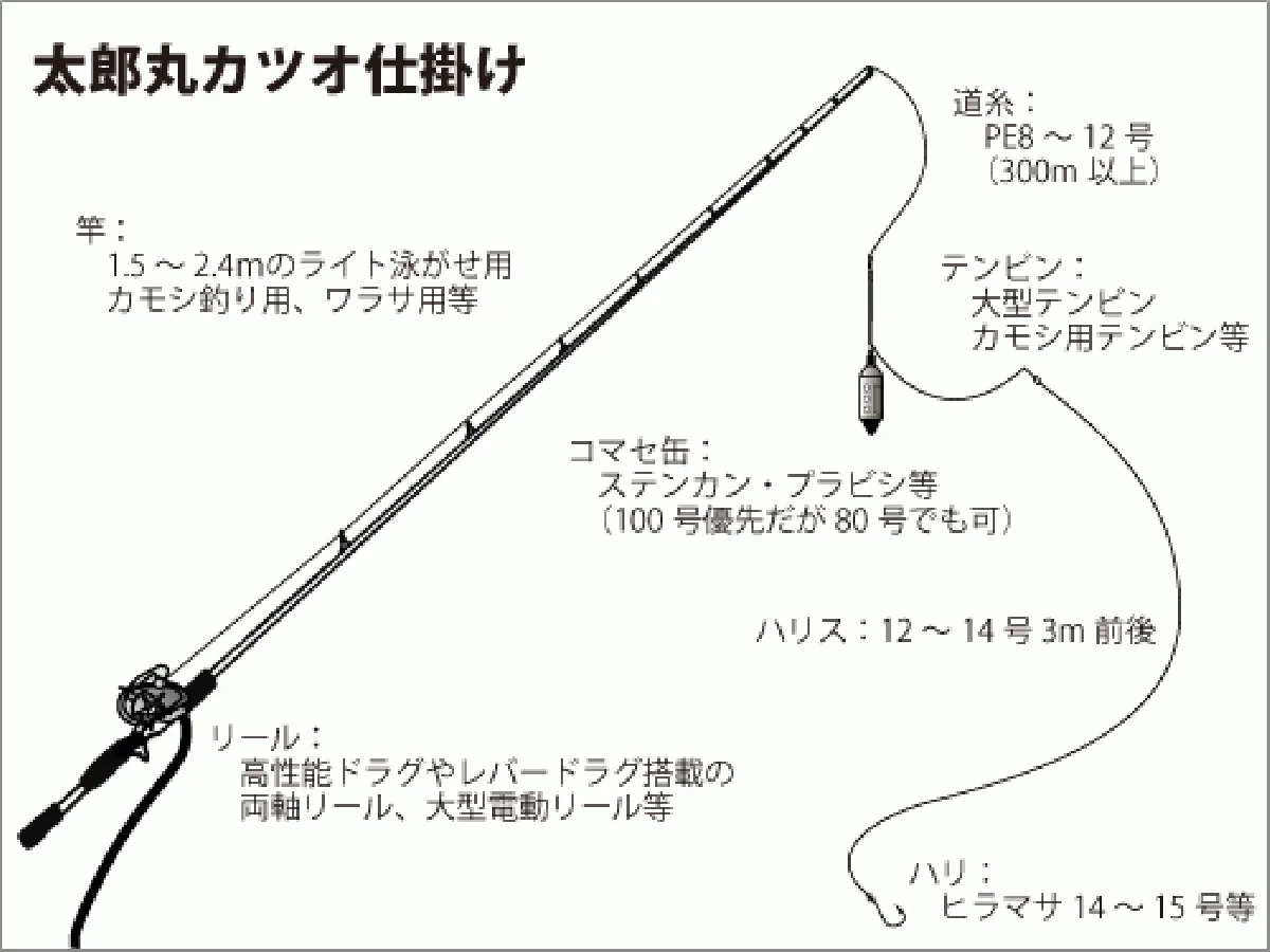 仕掛け図（カツオ）