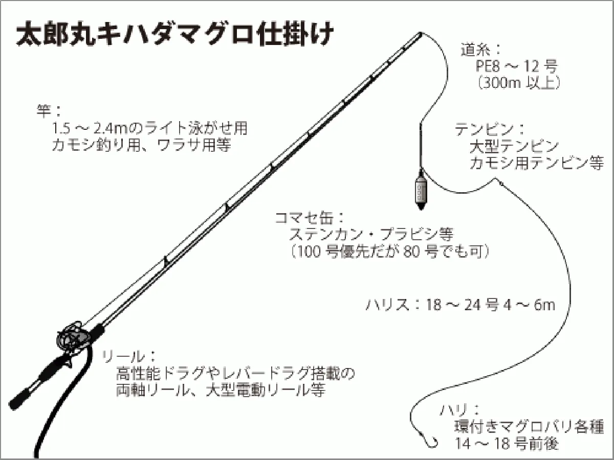 仕掛け図（キハダマグロ）