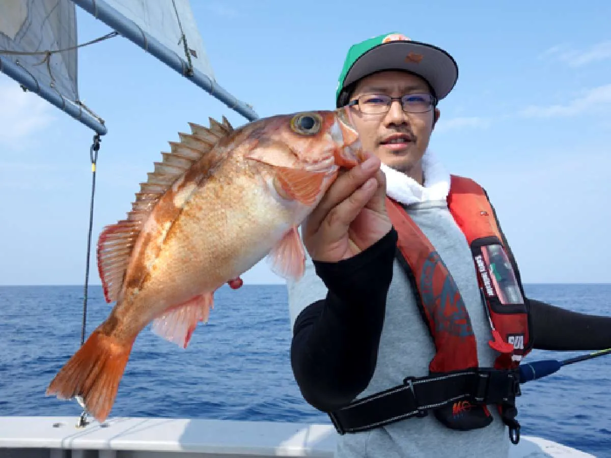 ジグにきた良型沖メバル