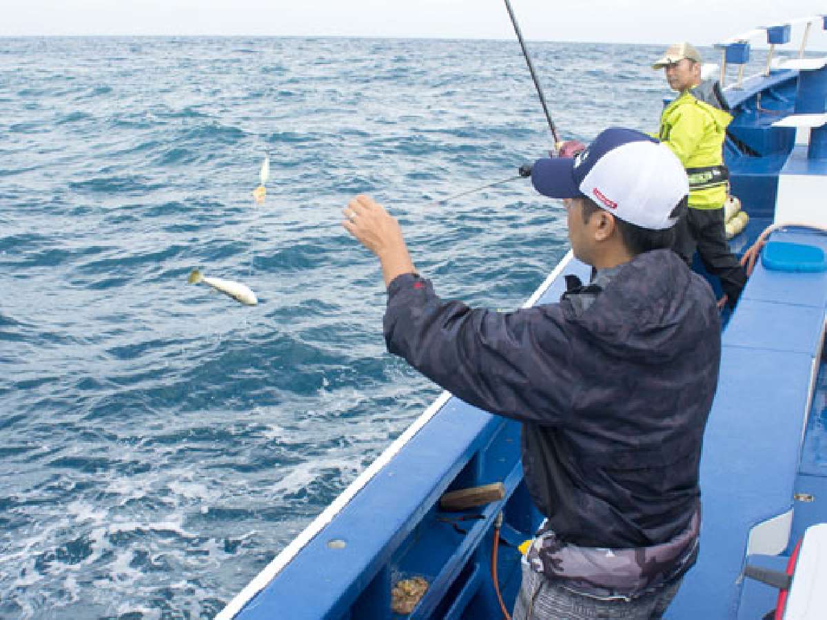 操作が決まると最高な釣り味