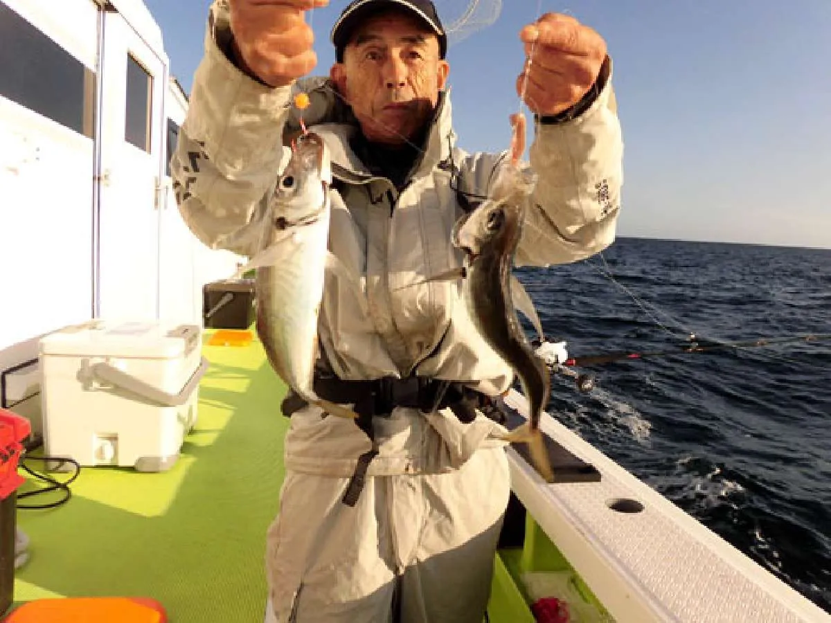 食べ頃サイズのアジが結構良く釣れる