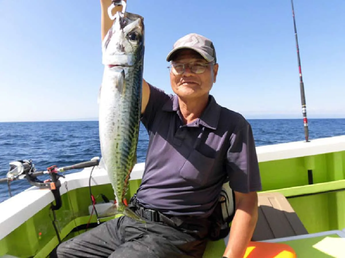 大サバはかなり釣れる、是非食べて欲しい