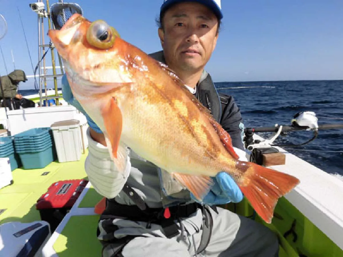 オキメバルはこんな良型も飛び出した