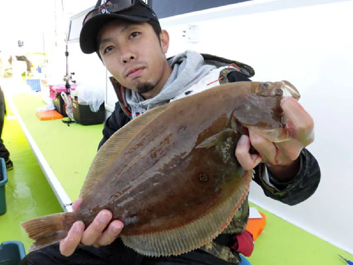 こんな良型は刺身で美味しいムシガレイ