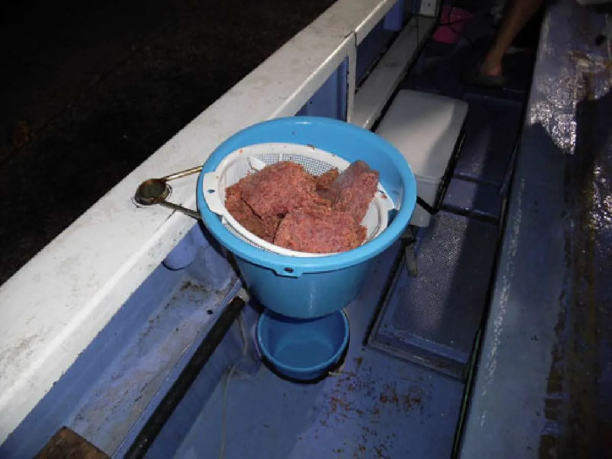 釣り座にコマセがセット