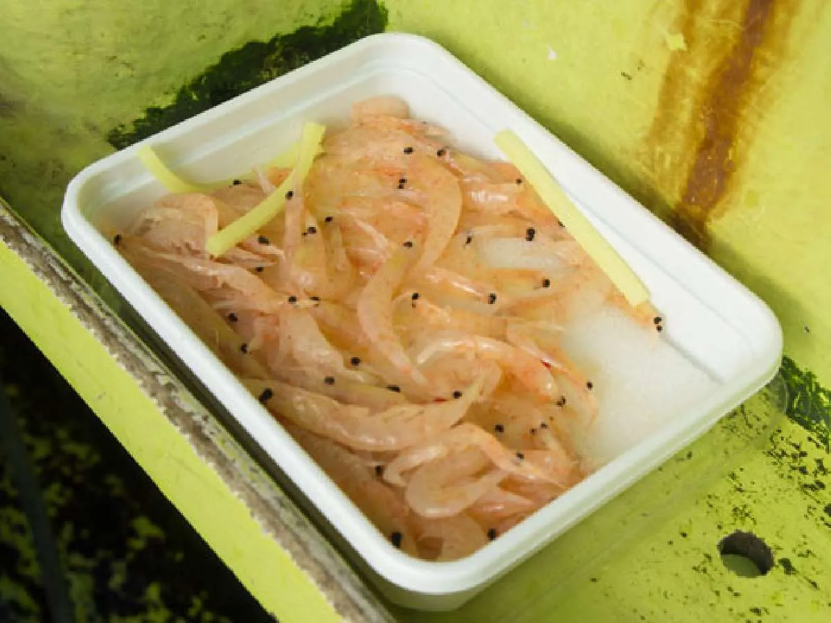 付け餌仕掛け用のオキアミ