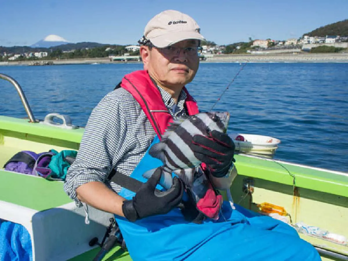 芹沢さんにイシダイがヒット