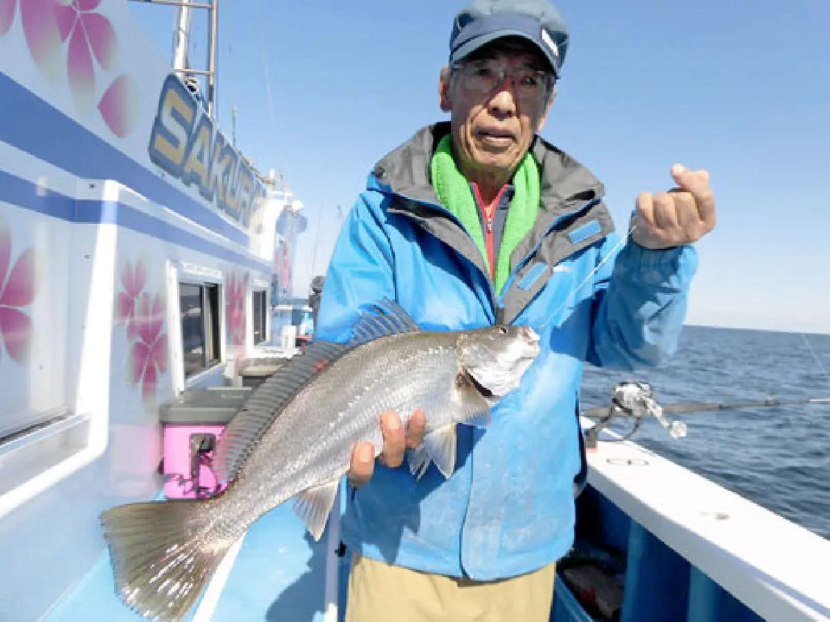 鹿島沖では珍しいオオニベ