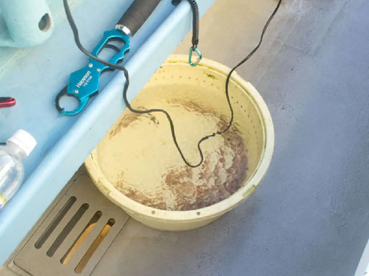 通常はこの様に餌を入れて海水を循環