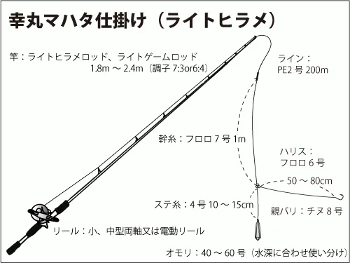 仕掛け図（ライトヒラメ） 