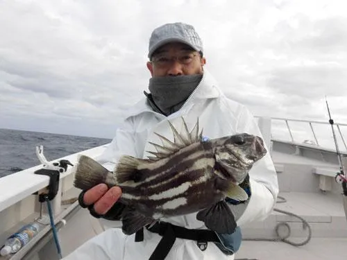 イシナギも釣れました