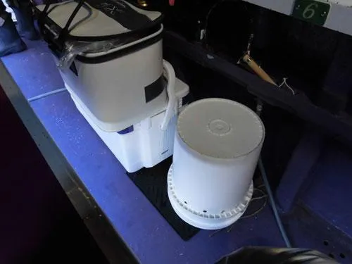 桶のある場所に荷物を置いて釣り座を確保