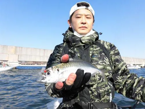 はい、中アジ！釣れた！