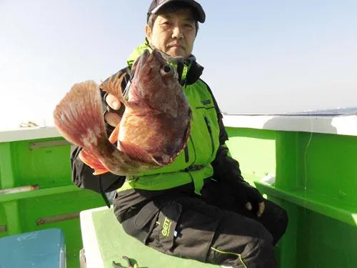 着底と同時に来ることの多いカサゴ類