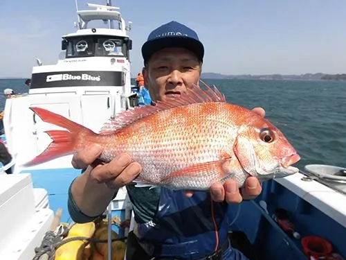 落し込みで食ってきたよ