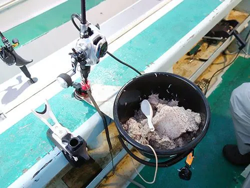 アミコマセを釣り座に配置