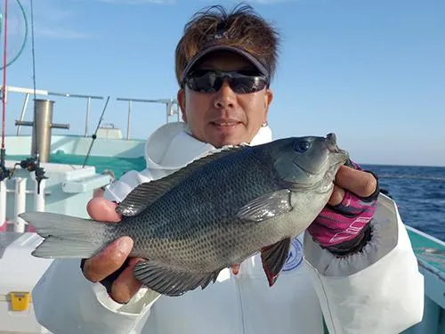 メジナも交ざる
