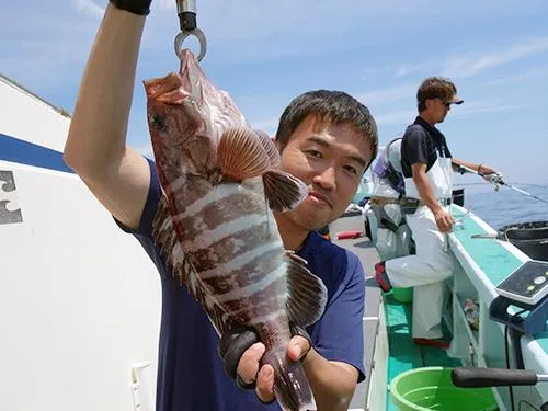 高級ゲストのマハタも