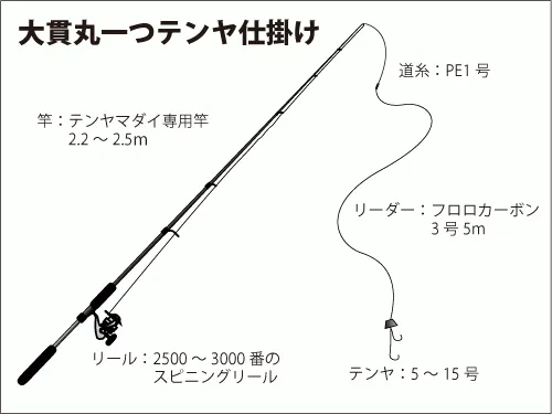 仕掛け図