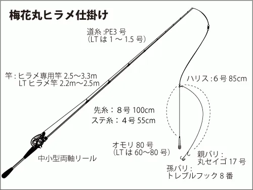 仕掛け図