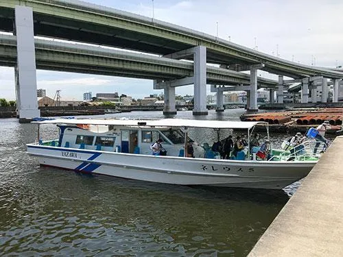 今回乗船した「ネレウス5号艇」