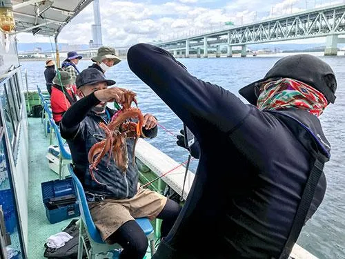 良型ヒットでハイポーズ