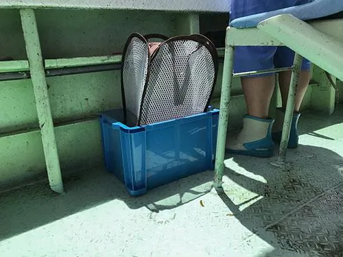 今やタコのキープに“洗濯ネット”は常識だが、最近はこの手の洗濯ネットが流行っているようだ