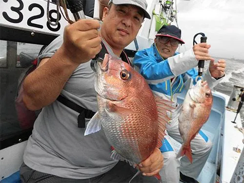 2.1kgと1.5kg、浅場のマダイは走る！