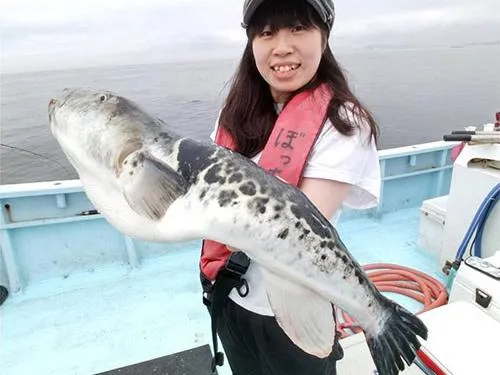こんなトラフグも上がる豊穣の東京湾