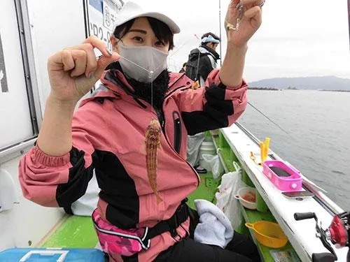 釣果情報に載らないが相当釣れるトラギス