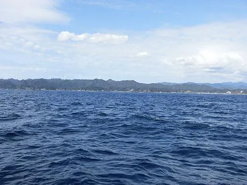 南伊豆は海の色が違います
