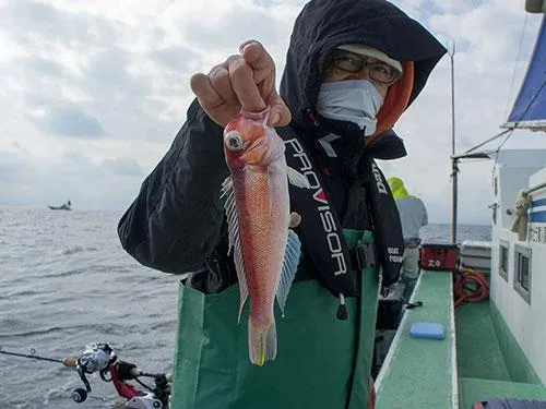 アマダイの魚影が濃い