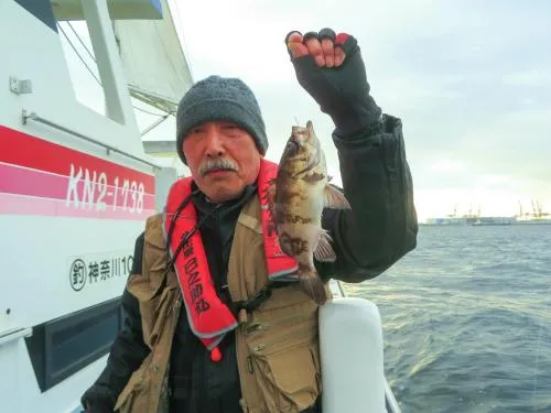 久し振りのメバル釣りを楽しんだ
