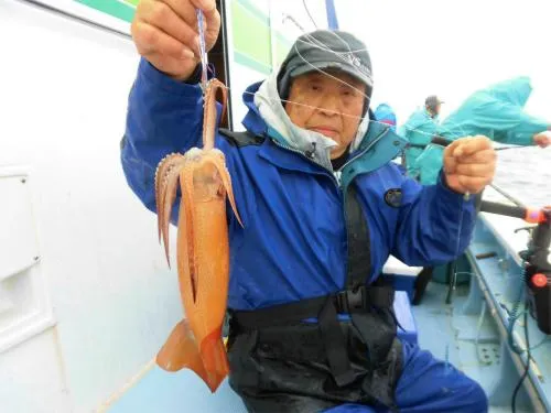 丸々太ったスルメイカ！