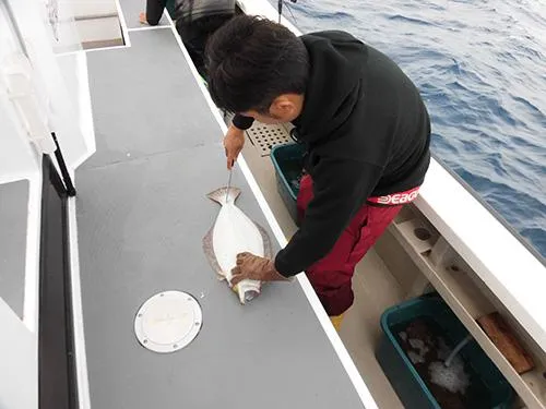 船長が釣り座を廻って血抜きをしてくれる