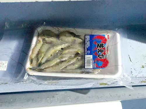 冷凍エビも購入可能