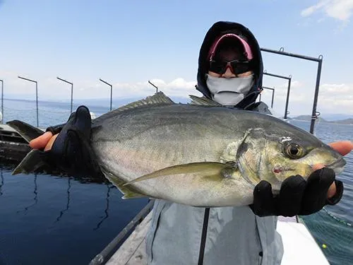 待望のシマアジ、魚信が小さく口吻が脆い