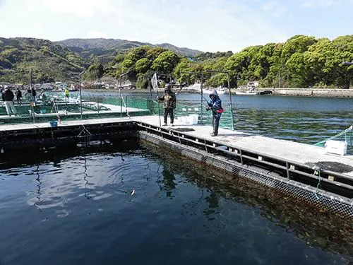 「まるや」には定員8名の筏が4基ある